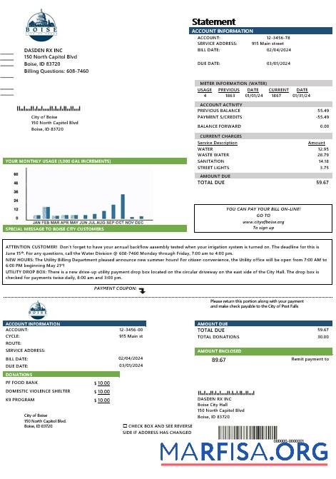 Blank USA Idaho Boise City of Trees water business utility bill template in Word and PDF formats